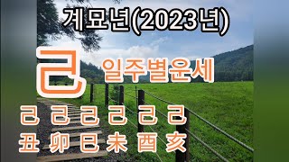 계묘년(2023년)일주별 운세~기토일주