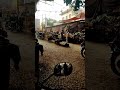 Vegetables Bazaar , Gol Market Nazimabad #vegetarian #vegetables #vegetablemarket