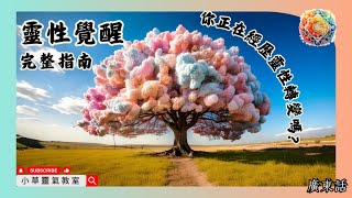 靈性覺醒：完整指南｜你正在經歷靈性轉變嗎？｜#香港  #廣東話  #粵語  小草老師 小草靈氣教室