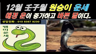 22년 12월(壬子) 뱀띠 운세/여성운 남성과의 인연이 증가하고 승진,명예운이 증가하나 업무 스트레스는 증가한다[행운의신사주풍수]