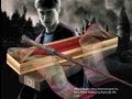 Harry Potter's Wand with Ollivanders Box