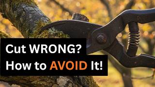 The 11 Biggest Pruning Mistakes in November – and How to Easily Avoid Them!