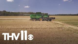 Supply chain issues cause problems for U.S. farmers