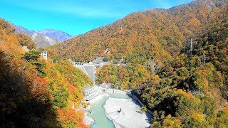 紅葉真っ盛り！ 畑薙第一ダム ～ 畑薙大吊橋 ( 空撮 )： Hatanagi Dai-ichi Dam. /ぶらり旅ハワイ