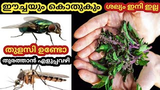 ഒറ്റ സ്പ്രേ മതി ഈച്ചയും കൊതുകും പമ്പ കടക്കും/Mosquito and housefly removing tips/Tips