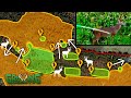 How to Create Bottlenecks | Better Whitetail Habitat, More Critters, Better Deer Hunting (692)