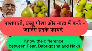 नाशपाती, बब्बू गोशा और नाख में फर्क - जानिए इनके फायदे | Difference between Pear, babugosha and Nakh