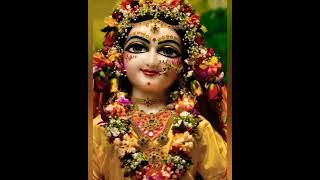 Vrindavan Dham | Radhey Krishna Ki Jyoti Alokik #Krishna #Songs #Shorts
