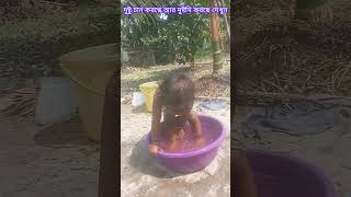 দুষ্টু   কেমন  দুষ্টমি  করছে একবার  দেখুন