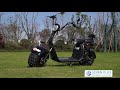 Electric scooter with 3000w 2000w powerful two fat wheel citycoco