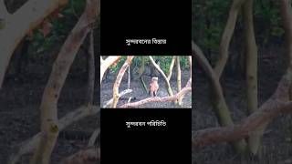 সুন্দরবন উঃ ২৪ পরগণা || Sundarban North 24 Parganas