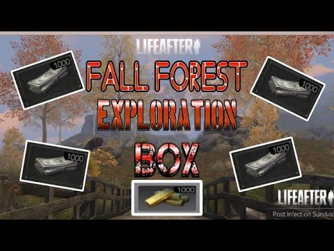Fall Forest Exploration Box LIFEAFTER