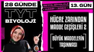 13) Hücre Zarından Madde Geçişleri 2 | 9. Sınıf Biyoloji | 2024 TYT Biyoloji Kampı 13. Gün