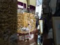 world’s biggest gold ring 💍 in dubai’s gold souq 🤩😱 dubaitour thingstodoindubai goldsouq