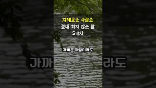 지혜로운 사람은 절대로 하지 않는 말 5가지 #인생글 #인생글귀 #인생조언 #인생지혜 #인생명언