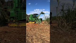 Colhedora de Cana John Deere #johndeere #agro #agriculture