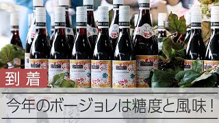 ボージョレ初荷が羽田到着　今年は値段高め、昨年の2倍超すワインも