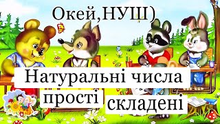 Натуральні числа/ Прості натуральні числа/ Складені натуральні числа/ Число 1/ Окей, НУШ)