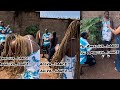 A lady he picked from the village took all his money & run away & left him with nothing