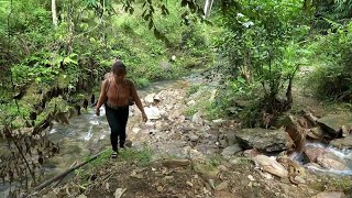 小雨丛林建造，野外生存技巧，独自用竹子建造野外帐篷