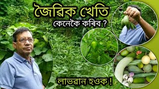 Farming in assam । জৈৱিক খেতি । Assam farming business । Organic farming assam । Organic kheti