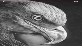 sketch eagle