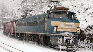 JR貨物 EF66 24号機+コキ24B+EF67 101号機 貨物列車(遅)5074レ 雪の降る瀬野八 2014.2