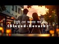 তুই তো আমার সব sloyed revarb lofi version bangla lofimusic trending