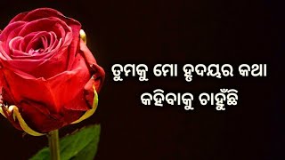 feeling love |  Love Shayari  | Romantic Shayari  | Odia Love Shayari | love quotes | love poems |