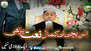 Very Beautiful Voice || New Best Naat Sharif || Koi Dunya E Ata Me Nahi Hamta Tera By Syed Husnain