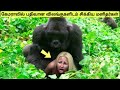 கேமராவில் பதிவான விலங்குகளிடம் சிக்கிய மனிதர்கள் | Animal Encounters caught on camera |Tamil Wonders