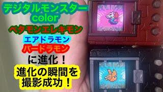 デジタルモンスターcolor ベタモンエレキモンからエアドラモンバードラモンに進化！貴重な進化シーンも撮影成功！