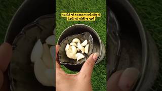 તુરીયા નુ શાક બનાવવાની રીત/turiya nu shaak/turiya nu shaak kathiyavadi recipe/#shorts#ytshort#short