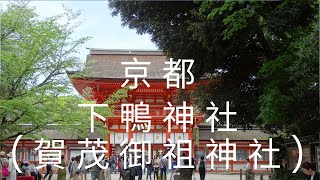 日本, 京都, 下鴨神社(賀茂御祖神社)