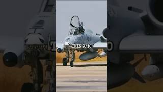 How AN  A-10 Warthog Took Out A Cow#militaryplane #army