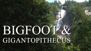 BIGFOOT & GIGANTOPITHECUS - (Bigfoot Ancestor?) - Mountain Beast Mysteries Episode 36.
