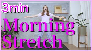 3-min Stretch | Great in the morning or between work! | Beginners | Apartment Friendly