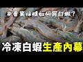 冷凍白蝦從哪裡來？讓專業海鮮採購告訴你，台東頂級白蝦生產方式！