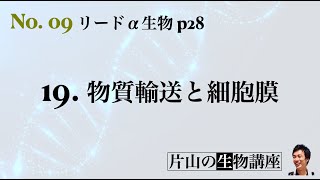 09_片山の生物講座（19. 物質輸送と細胞膜）