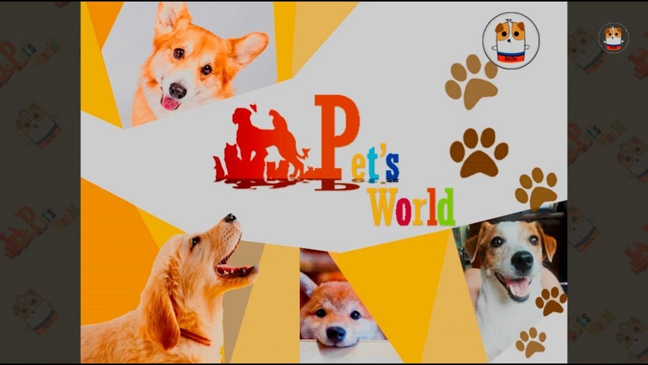 Funny Dog Compilation 2017 14 Youtube