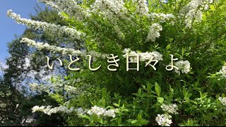 いとしき日々よ/平井堅　歌ってみた【きとら】