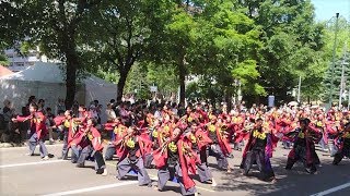 北海道大学”縁” 『YOSAKOIソーラン祭り』　大通南会場「５パレ」　2019.6.9