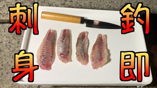 【離島泊まり企画】アジングで釣ったアジをそのまま刺身に！？