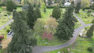 Peaceful Seattle Views: Volunteer Park & Bruce Lee’s Resting Place with Soothing Music