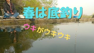 底釣りのウキの動きを中心の動画にしました☺️