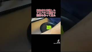 【インスタ映え】前菜の盛り付け方