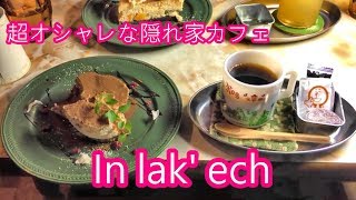 黒石市【In lak' ech　インラケチ】超オシャレな隠れ家カフェのティラミスとベイクドチーズケーキ Wonderful hideout cafe