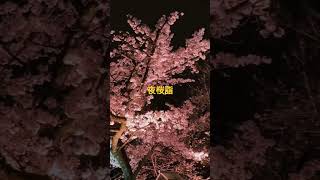 靖国神社で行われている夜桜詣です