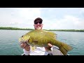 MEGA Smallmouth Bass Fishing In SUPER CLEAR Water! (Insane Day)