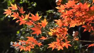 東吾妻町 秋 HIGASHIAGATSUMA FALL